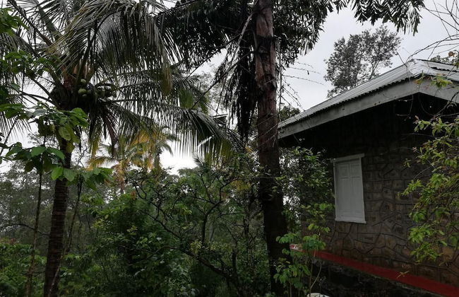 Lourdes Eco Bungalow - Foto 39