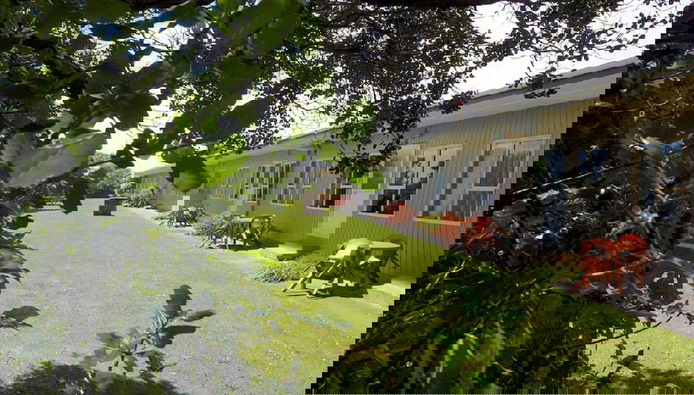 Imagem principal
