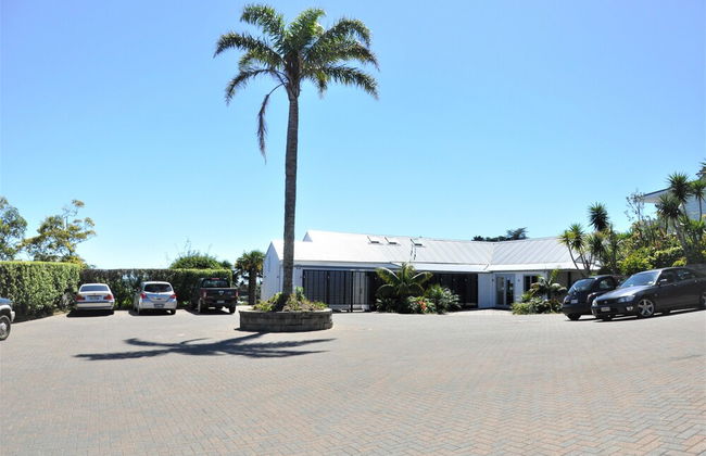 Villa Casita at Palm Beach - Photo 15