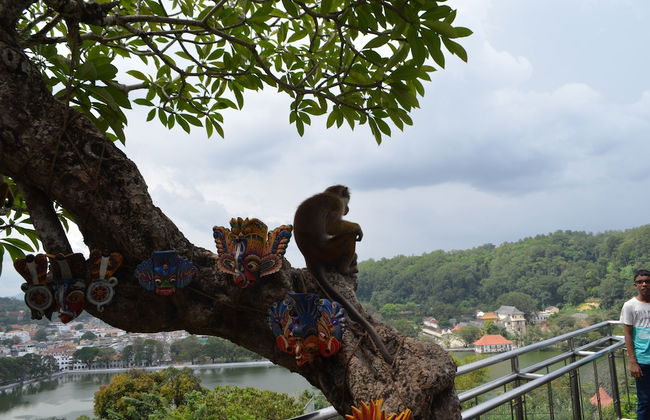 The Prestige Villa Kandy - Foto 31