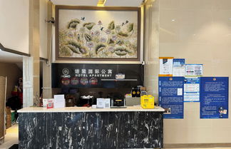 Photo 1 - Nomo Beijing Rd. Jiedeng A-Mall Apartment