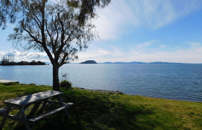 Motutere Bay Top 10 Holiday Park - Foto 61