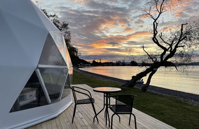 Motutere Bay Top 10 Holiday Park - Foto 73