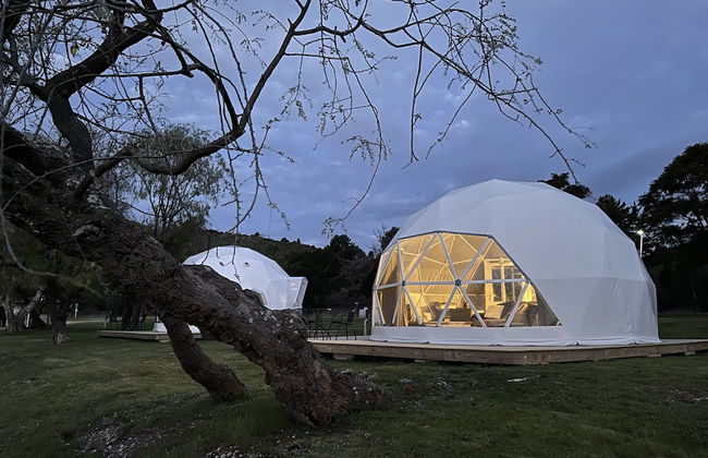 Motutere Bay Top 10 Holiday Park - Foto 13