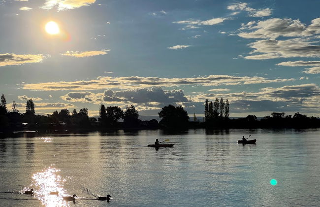 Motutere Bay Top 10 Holiday Park - Foto 80