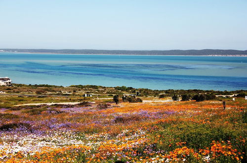 Photo 19 - Kian's Place, Langebaan 8-sleeper