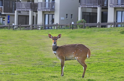 Foto 43 - Brenton Haven Beachfront Resort