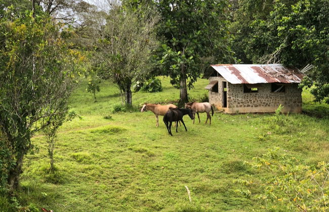 Casa Piedra - Photo 17
