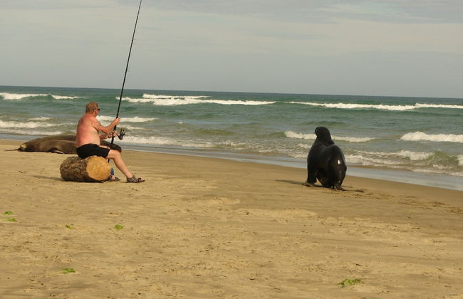 Catlins Newhaven Holiday Park - Foto 40