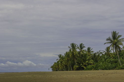 Photo 51 - Villas Bungalows Ballena