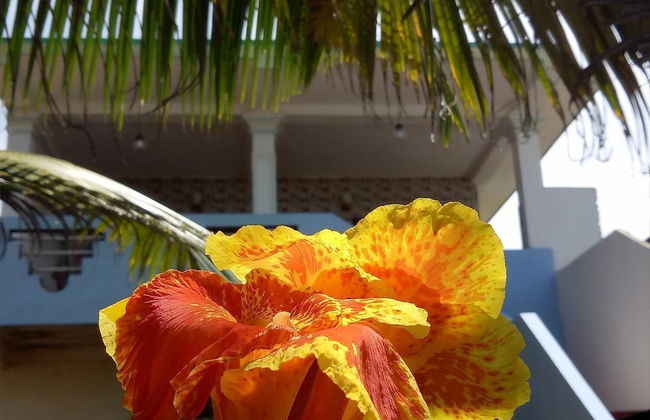 Githmini Beach Guest House & Toures - Foto 13