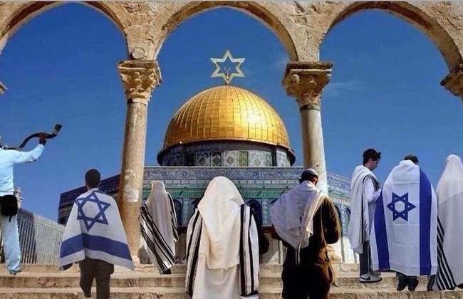 Peaceful Windows of Jerusalem - Foto 48