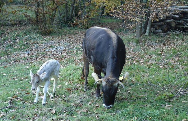 Agriturismo di Charme e Ristorante Stallato Il Filo di Paglia - Foto 76