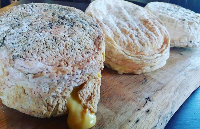 Agriturismo di Charme e Ristorante Stallato Il Filo di Paglia - Foto 84