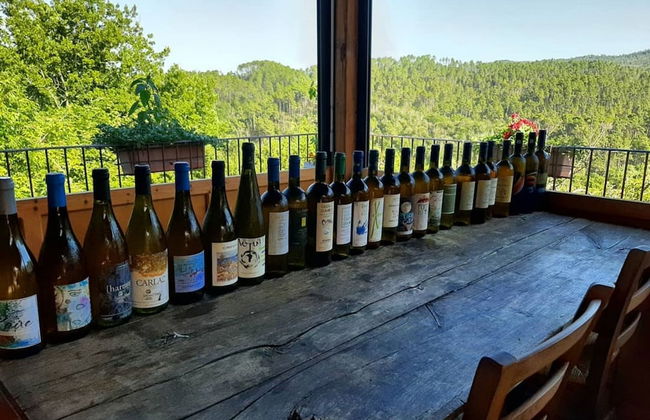 Agriturismo di Charme e Ristorante Stallato Il Filo di Paglia - Foto 120