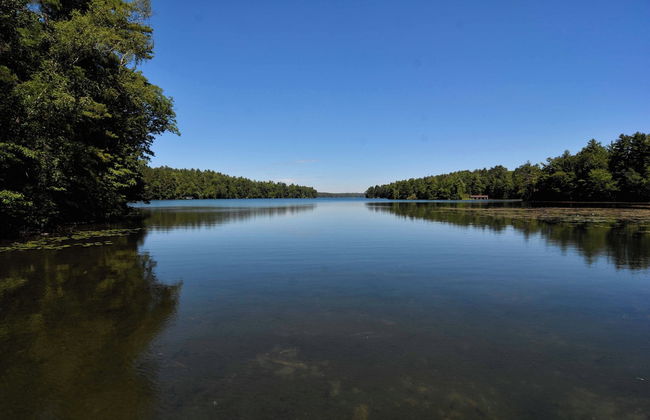 Serenity on Lake Owen - Photo 32