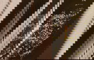 Foto 63 - Casa Loera