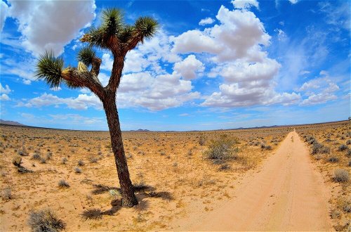 Foto 20 - Unique off Grid Desert Retreat, California, USA