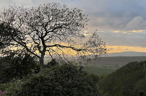 Photo 24 - Bike Shed - Beautiful 1-bed Cottage in Shorwell