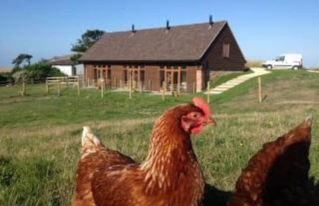 Surf Shack, 1-bed Cottage, Sleeps 2, Pet Friendly - Foto 11