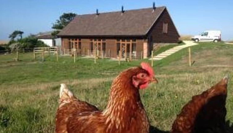 Photo 1 - Bike Shed - Beautiful 1-bed Cottage in Shorwell