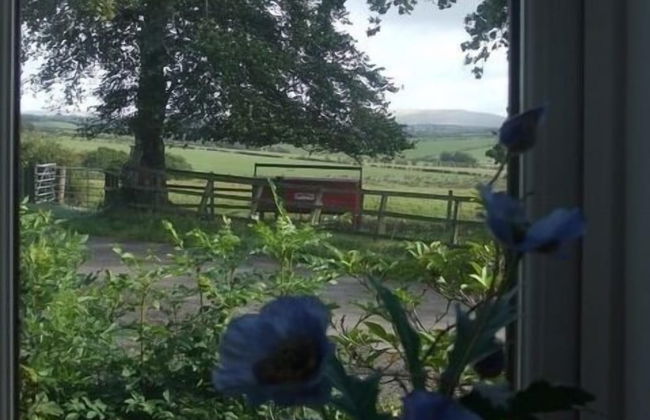 Dykefield Farm B&B - Foto 5