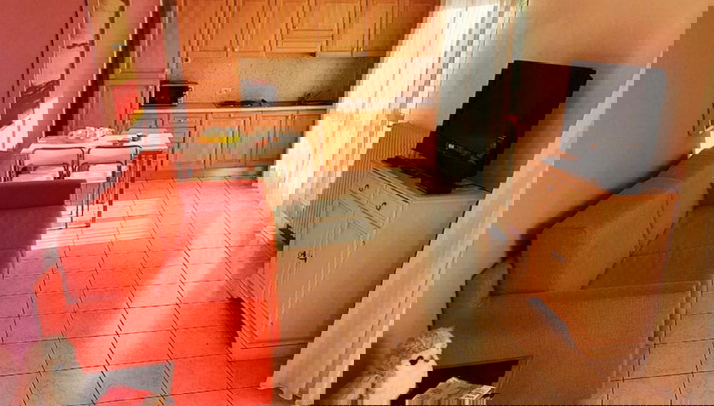 Imagem principal