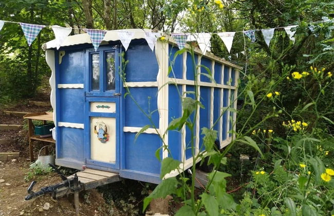Pilgrims Shepherd's Hut - Goosewell Glynn Glamping - Foto 1