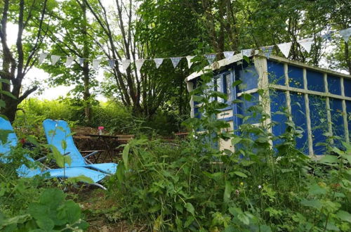 Foto 12 - Pilgrims Shepherd's Hut - Goosewell Glynn Glamping