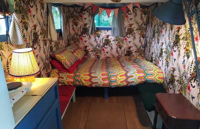 Pilgrims Shepherd's Hut - Goosewell Glynn Glamping - Foto 3