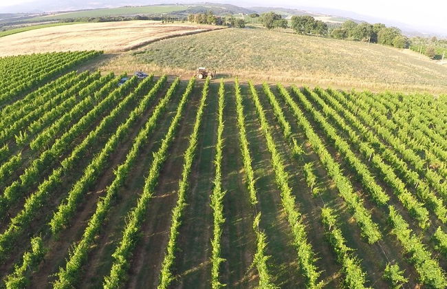 Antica Grancia di Quercecchio - Foto 48