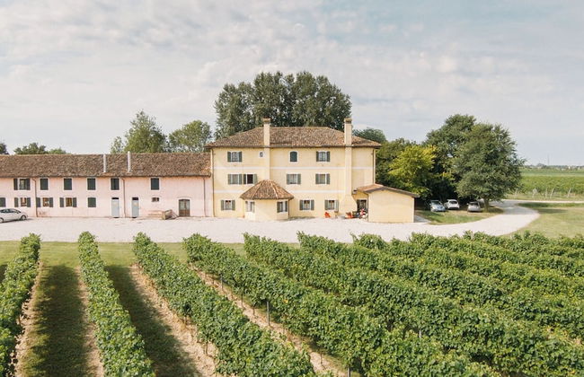 Agriturismo Rechsteiner - Foto 40