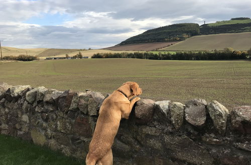 Photo 21 - East Cottage, Parbroath Farm Near Cupar in Fife