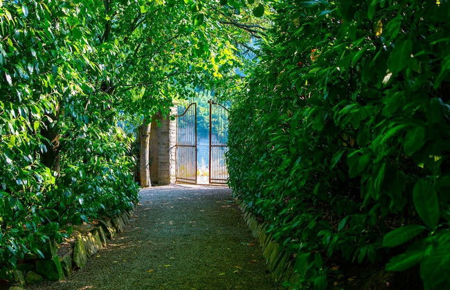 Fc-i310-lcal0at - Pieve del Borgo 6 2 - Foto 10