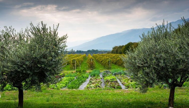 Foto 1 - Agriturismo Al Luogo del Giulio