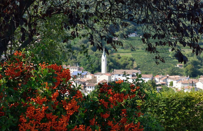 Agriturismo Crodi - Foto 62