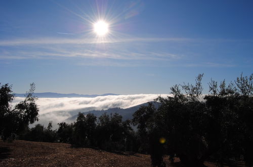 Photo 32 - Cortijo La Haza