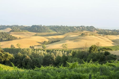 Photo 33 - Casale degli Ulivi