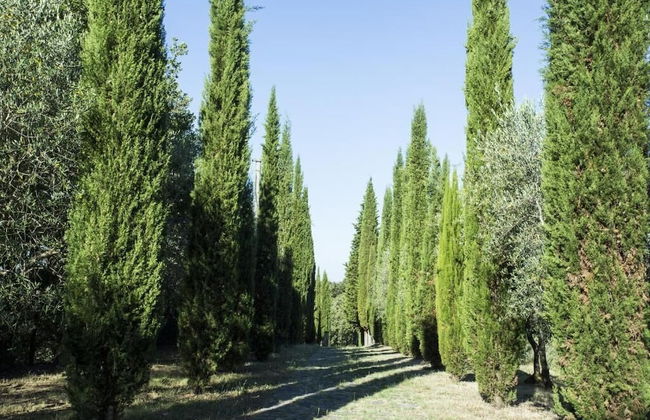 Casale degli Ulivi - Foto 42