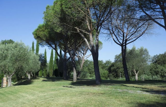 Casale degli Ulivi - Foto 48