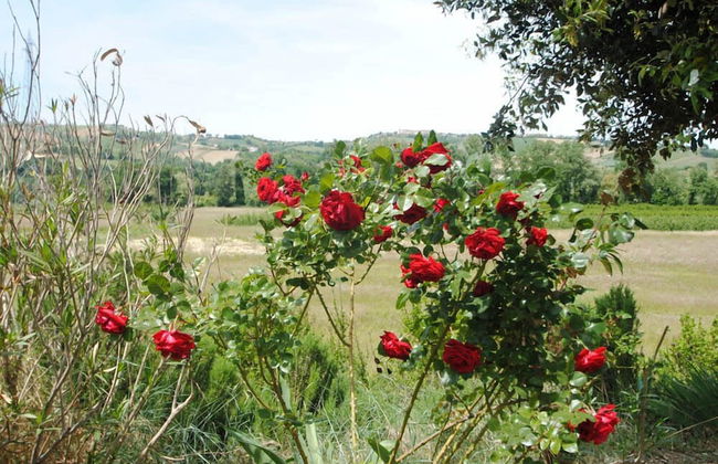 Country House Villa Geminiani - Foto 25