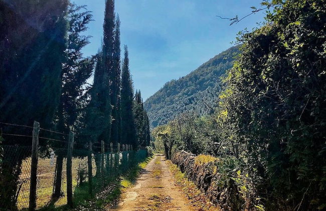 Podere Groppini - Foto 19