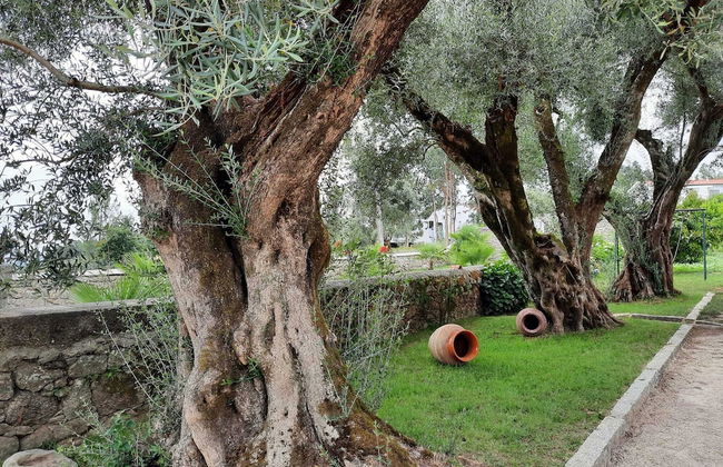 Quinta de Castelhão - Foto 40