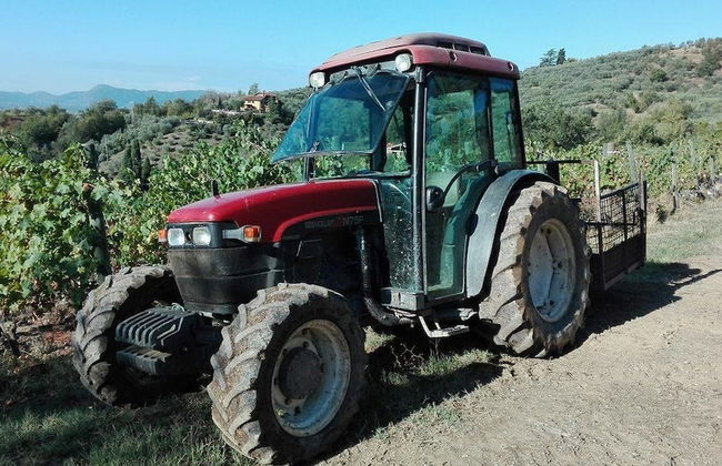 Fattoria di Fubbiano - Foto 1