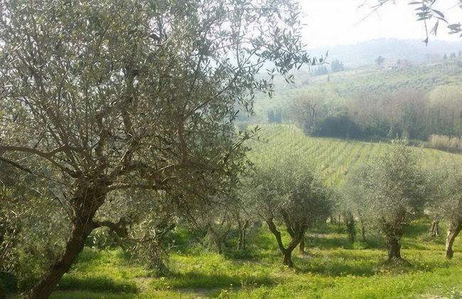 Fattoria di Fubbiano - Foto 14