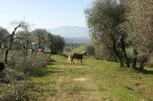 Foto 19 - Fattoria di Fubbiano