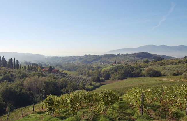 Fattoria di Fubbiano - Foto 13