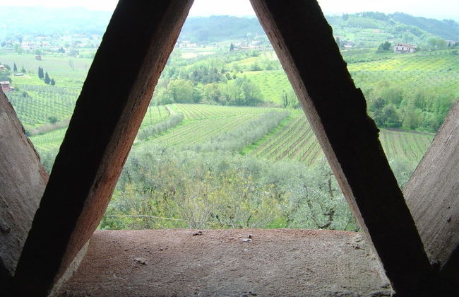 Fattoria di Fubbiano - Foto 32