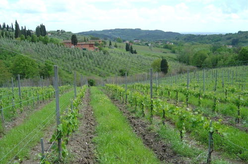 Photo 12 - Fattoria di Fubbiano