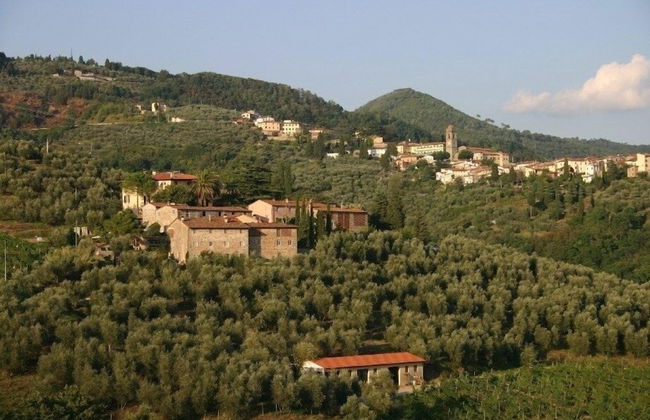 Fattoria di Fubbiano - Foto 25
